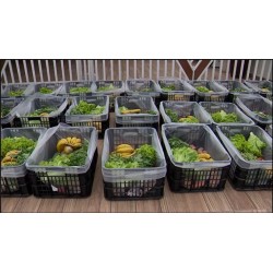 Solidariedade: Cooperativa Arcos realiza o projeto “Cesta Social”